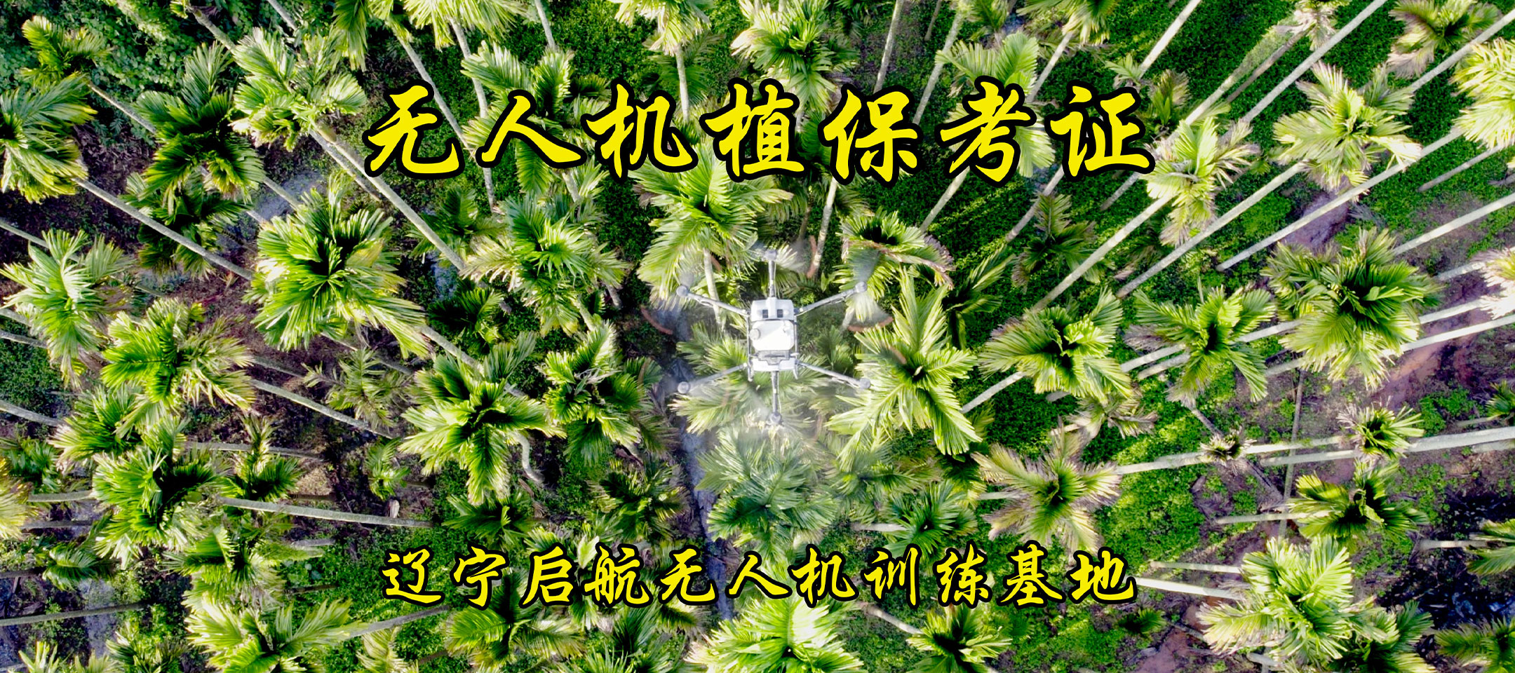 遼寧植保無(wú)人機(jī)駕駛員培訓(xùn)