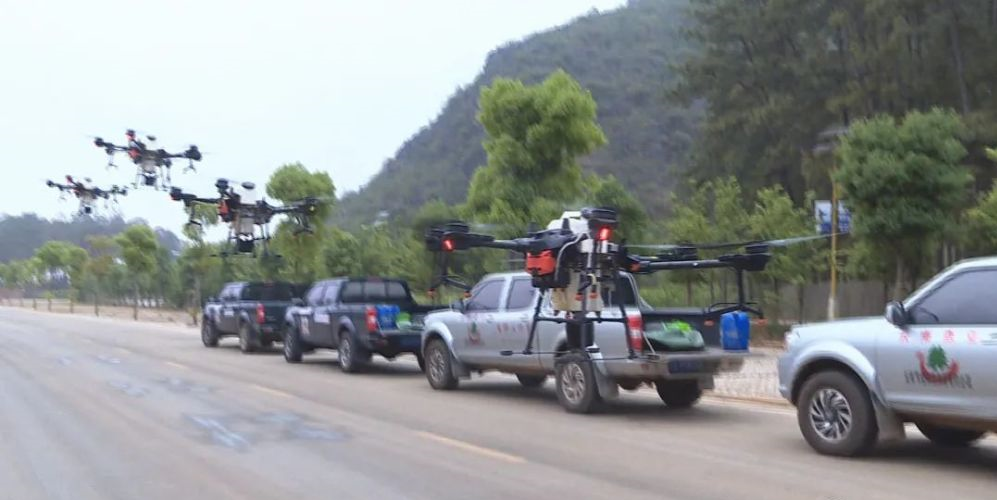 文山州這里無人機“大戰(zhàn)”松毛蟲1.png