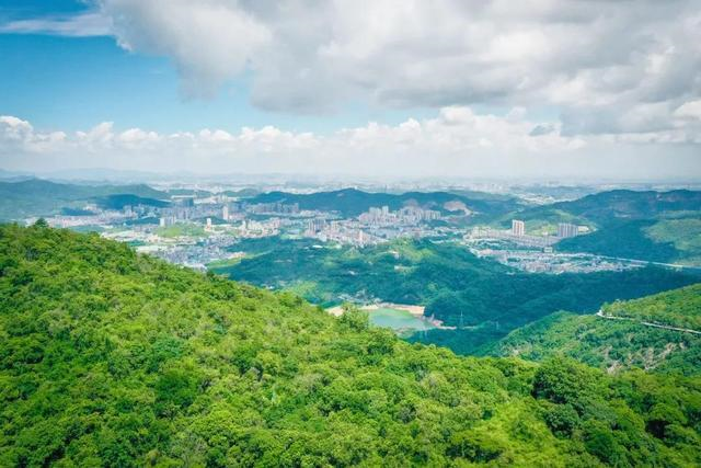清明節(jié)踏青尋芳，帶上無人機，相約東莞觀音山9.png