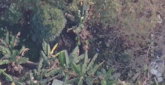 黃埔警方出動“執(zhí)法神器”無人機抓非法賭博1.jpg