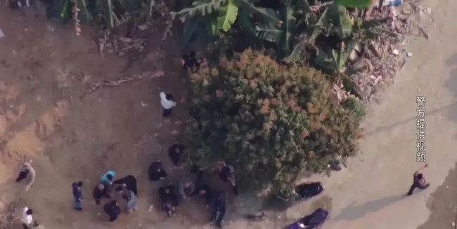 黃埔警方出動“執(zhí)法神器”無人機抓非法賭博2.jpg