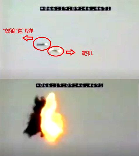 值得高度關(guān)注！“郊狼”巡飛彈發(fā)展及未來趨勢3.jpg