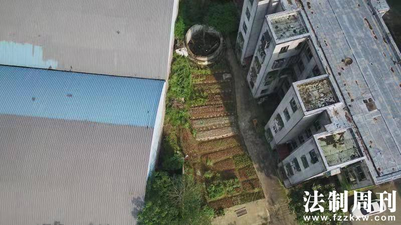 津市市利用無人機助力禁種鏟毒3.png