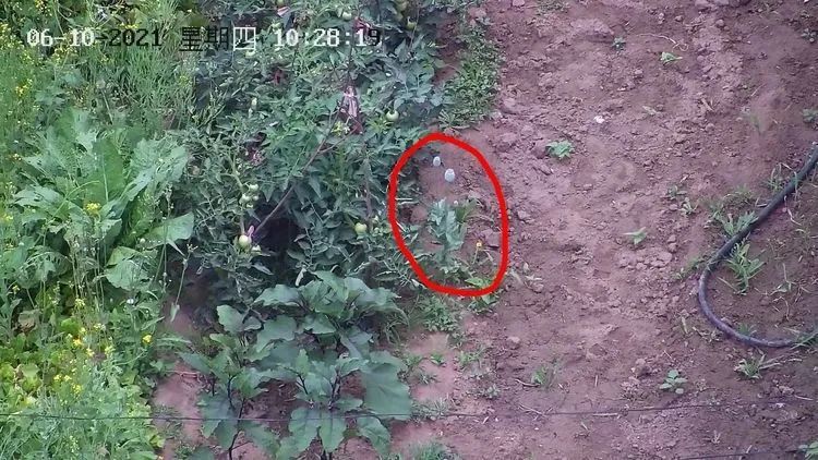 探索智慧警務(wù)——豐南警方利用無人機助力鏟毒禁毒工作2.jpg