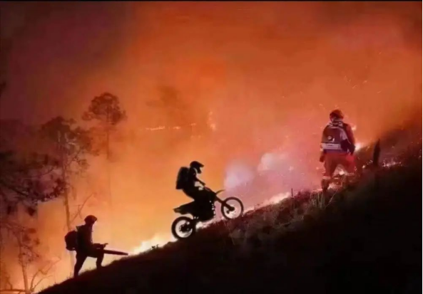 1662600440989.png